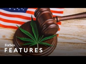Read more about the article What President Biden’s Cannabis Law Reform Means For The Legal Drug Industry | Forbes