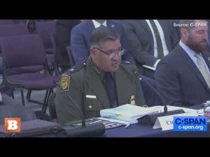Read more about the article Border Patrol Chief Disagrees with Biden, Mayorkas; Admits No “Operational Control” Over Border