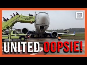 Read more about the article Another United Oopsie! Plane Veers Off Tarmac and Onto Grass During Landing